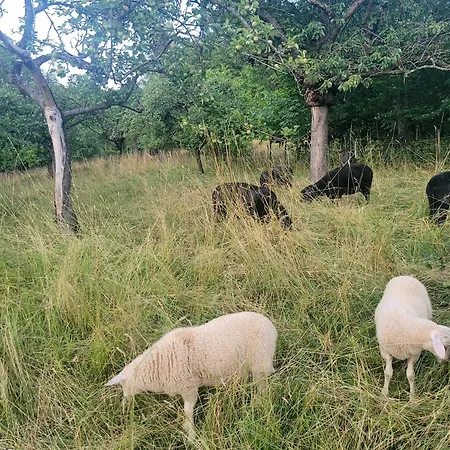 Moderne In Der Altstadt Eschwege