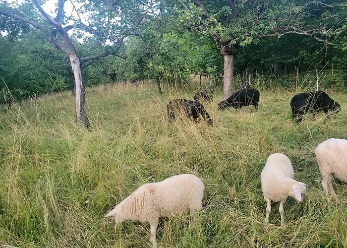 Moderne In Der Altstadt Eschwege